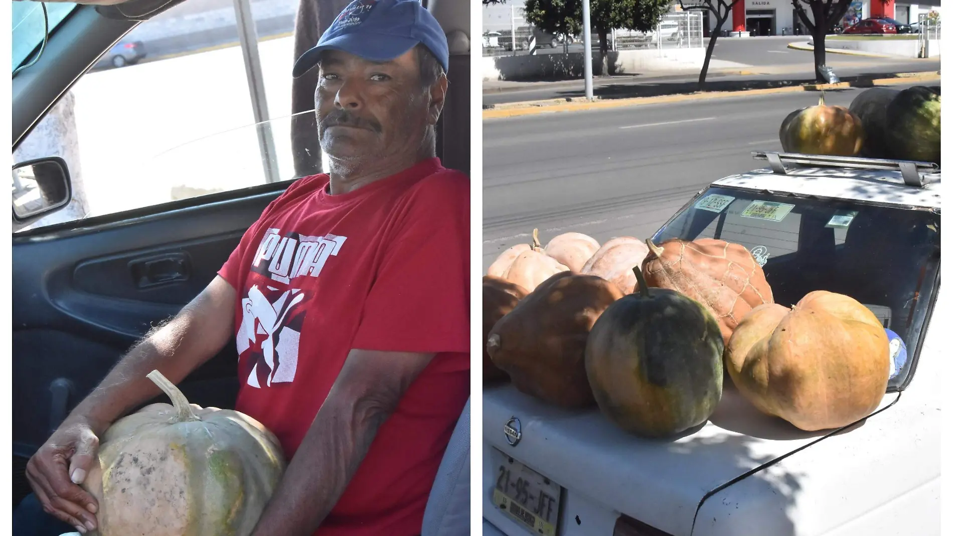 Benigno Solórzano, se mantiene con la venta de sus calabazas gigantes